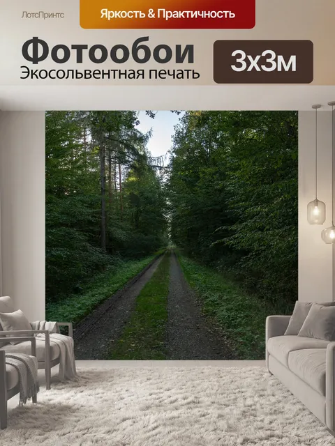 Фотообои Лесная тропа