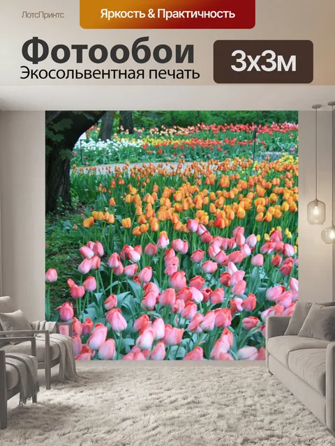 Фотообои тюльпаны, ботанические сады, москва