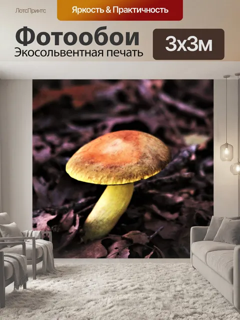 Фотообои Желтый гриб Bolete осенью