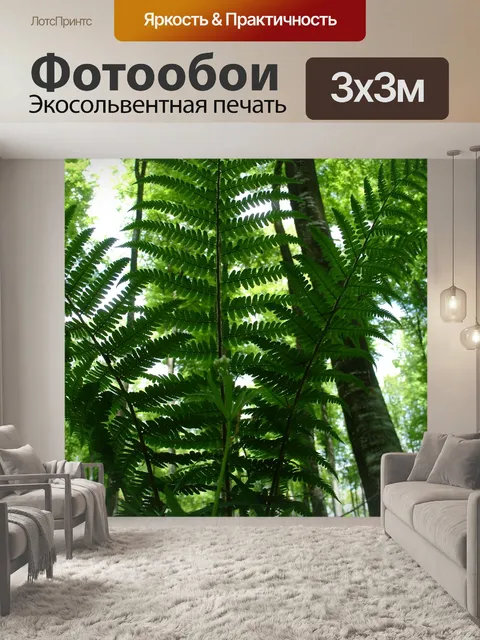 Фотообои Папоротник
