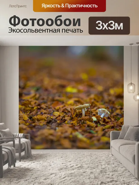 Фотообои грибы
