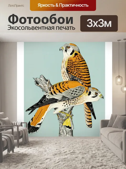 Фотообои Винтажный ястреб-хищник