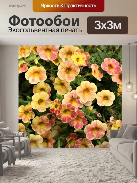 Фотообои Желтые и розовые мини петунии