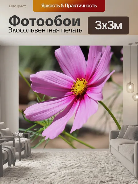 Фотообои Розовый цветок