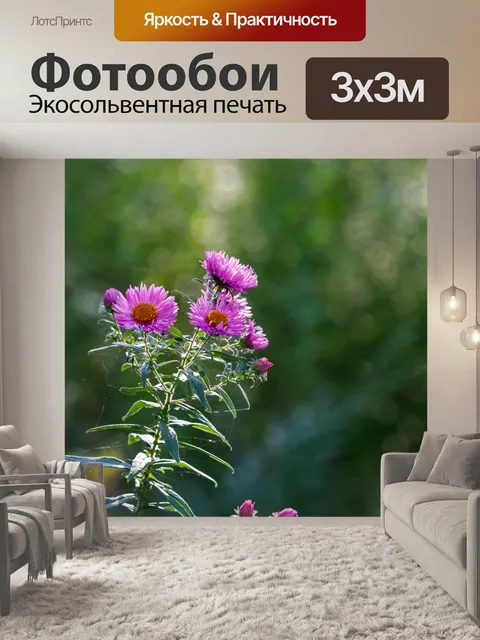 Фотообои Ботанический сад