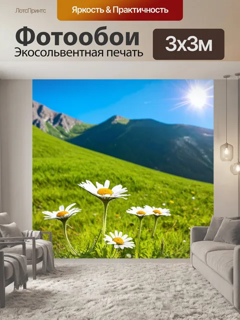 Фотообои с ромашками на фоне горного пейзажа