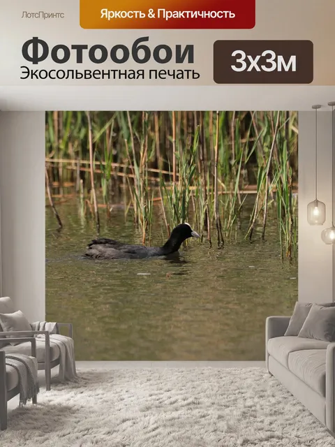 Фотообои Озеро