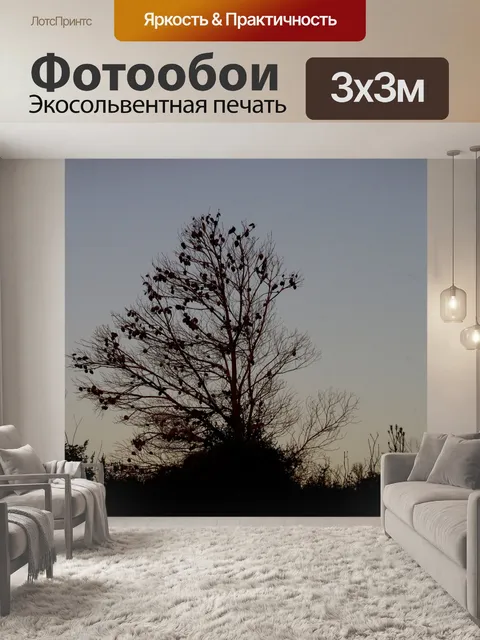 Фотообои Старый силуэт сосны