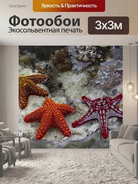 Фотообои морская звезда