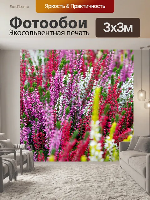 Фотообои красочный вереск