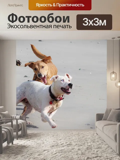 Фотообои Собаки