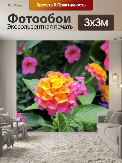 Фотообои Красочные цветы