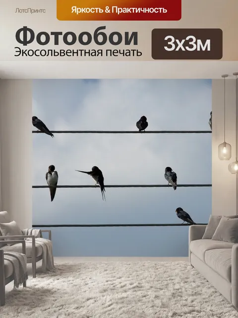 Фотообои Птицы