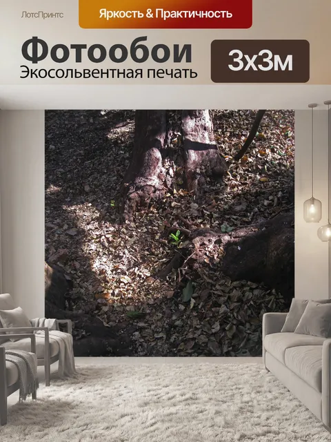 Фотообои Несколько стволов, речной кустарник-ива