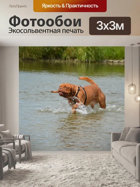 Фотообои Мутной воде 7