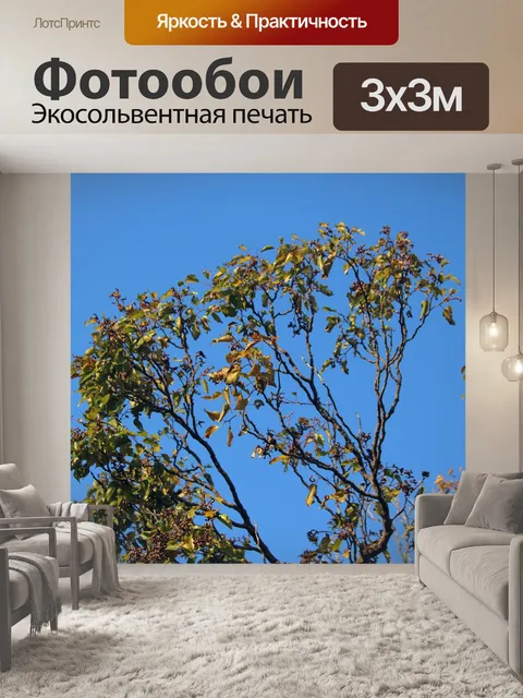 Фотообои верхушка японского изюминки