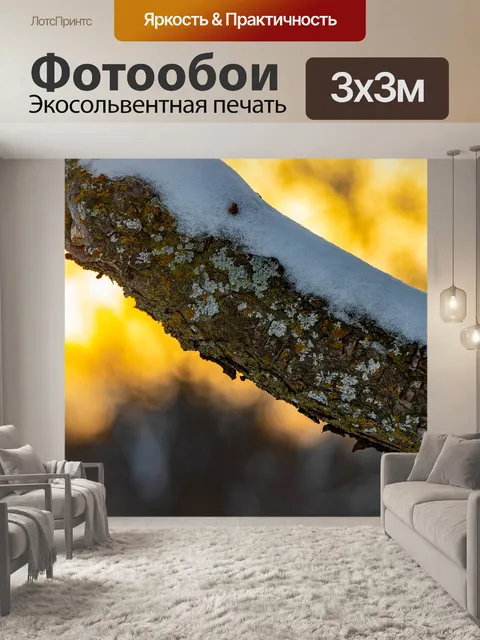 Фотообои Филиал