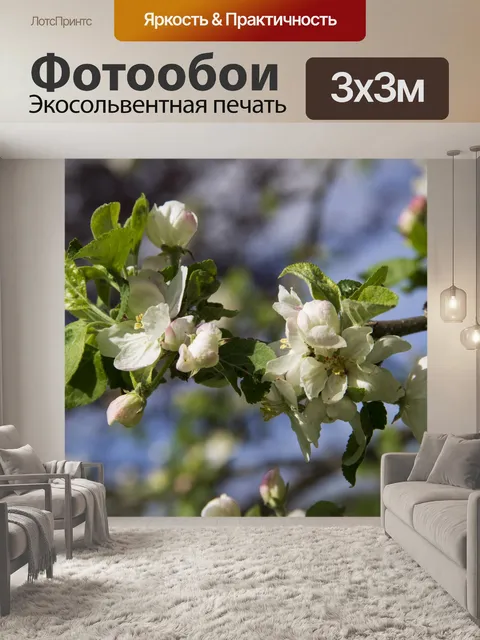 Фотообои Весна