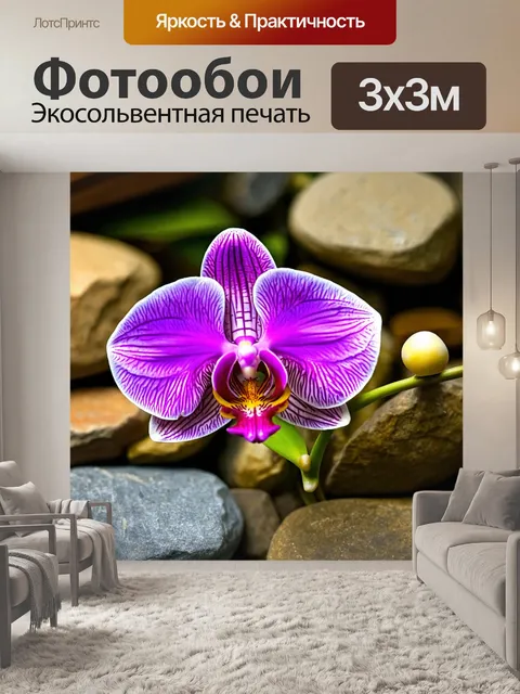 Фотообои орхидея, прорастающая сквозь камни