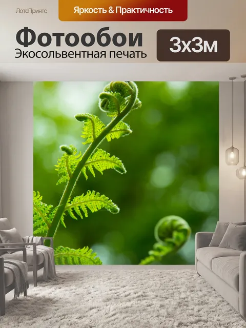 Фотообои папоротник