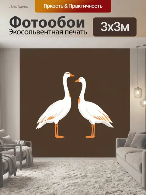 Фотообои Пара белых гусей на коричневом фоне