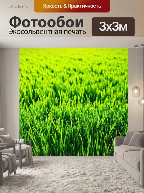 Фотообои поля с зелеными травами под солнцем