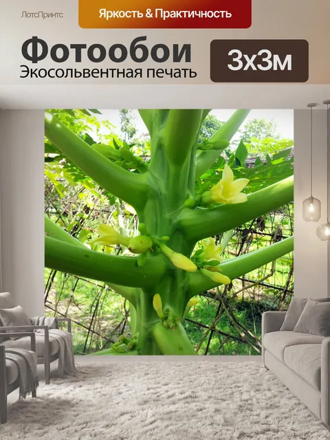 Фотообои банан стволовых деревьев и цветов