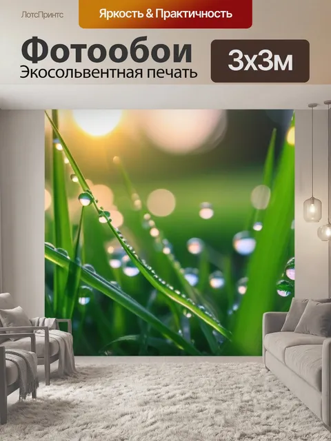 Фотообои рассвет с каплями росы на траве