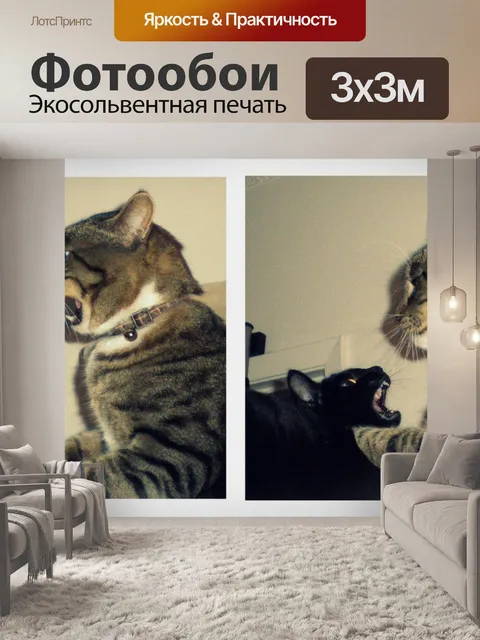 Фотообои Игра Кошки