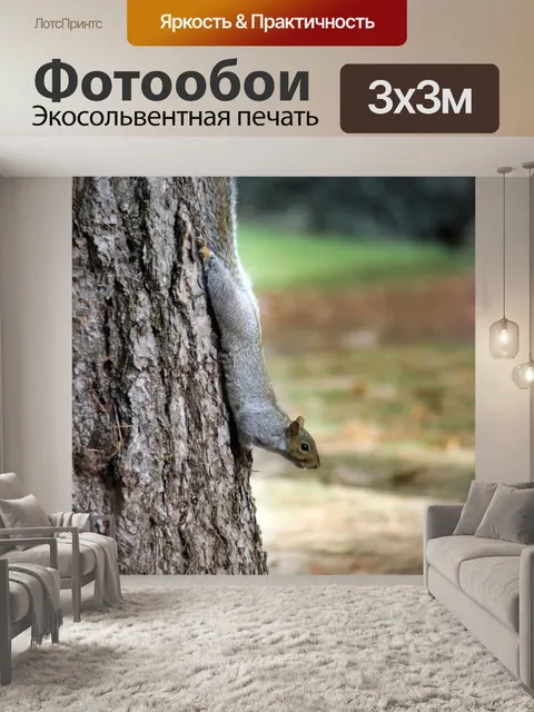 Фотообои Белка
