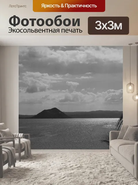 Фотообои Черный и белый Природа