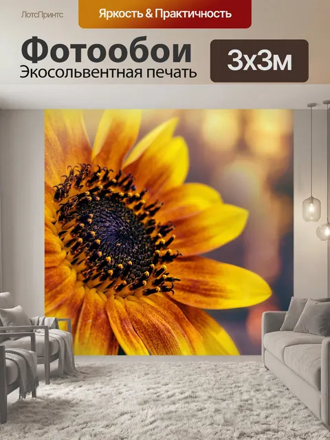 Фотообои Осенняя красота подсолнуха