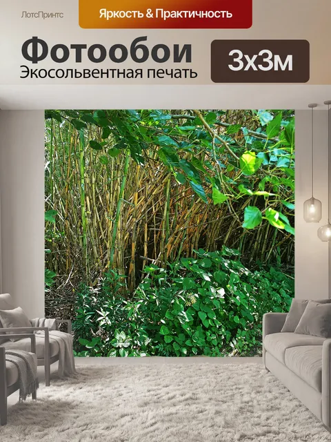 Фотообои камыши с деревом свеса