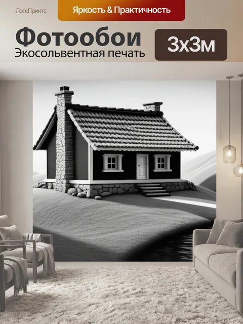 Фотообои пейзаж с маленьким домиком чернобелый