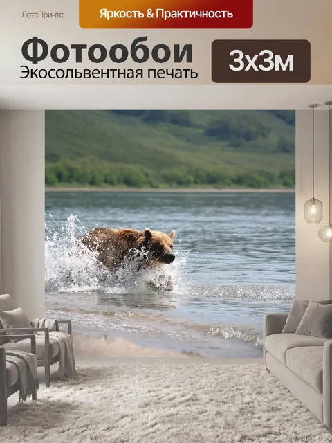 Фотообои Бурый медведь