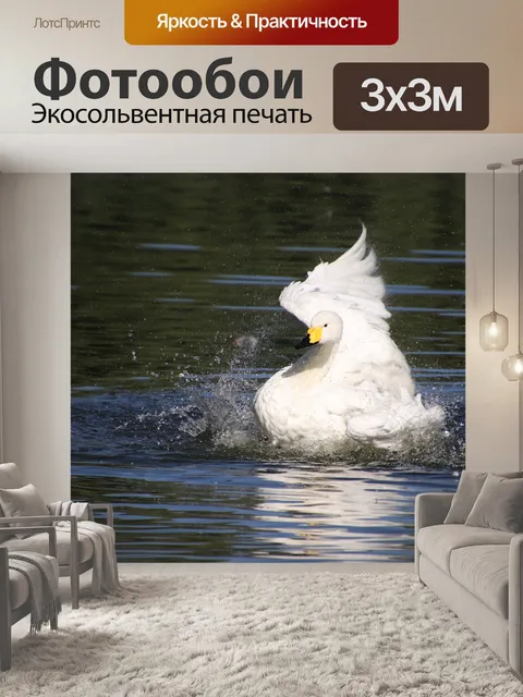 Фотообои Лебедь