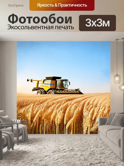 Фотообои зерноуборочный комбайн в поле под солнечным светом, окруженный золотыми колосьями пшеницы