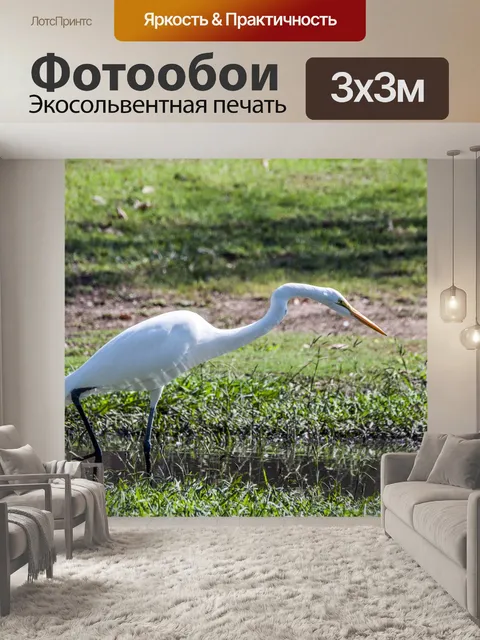 Фотообои Большая белая цапля