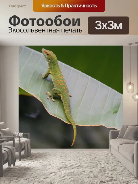 Фотообои Ящерица