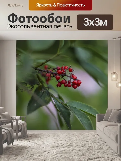 Фотообои Ягоды