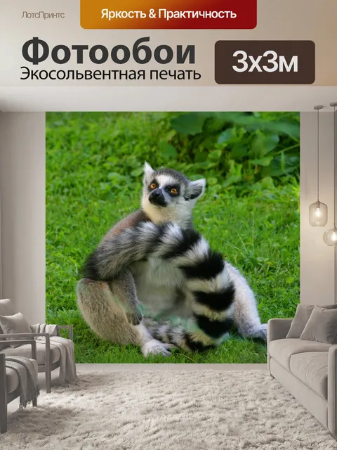 Фотообои Лемур