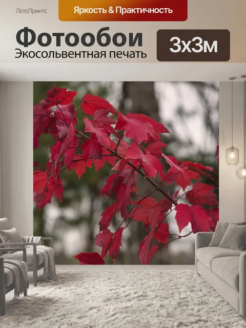Фотообои Клен