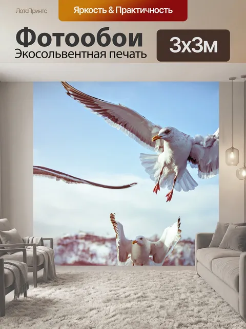 Фотообои Птица
