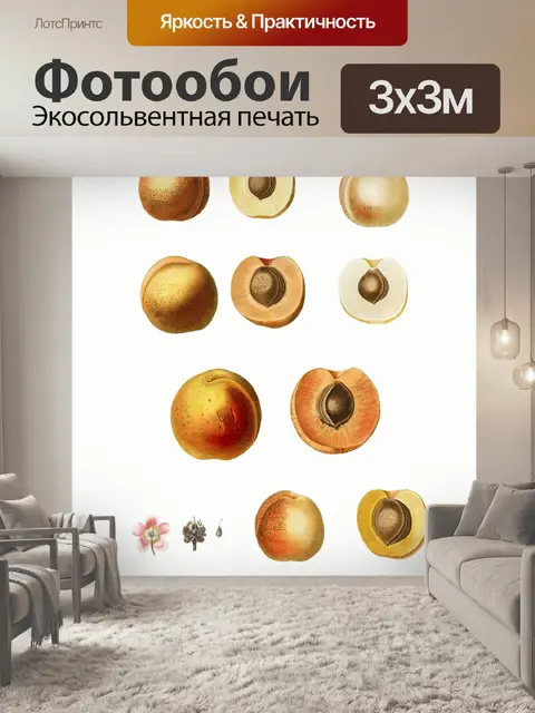 Фотообои Фрукты абрикосы винтаж старые