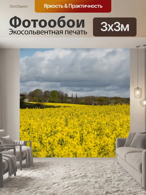 Фотообои Область желтого рапса