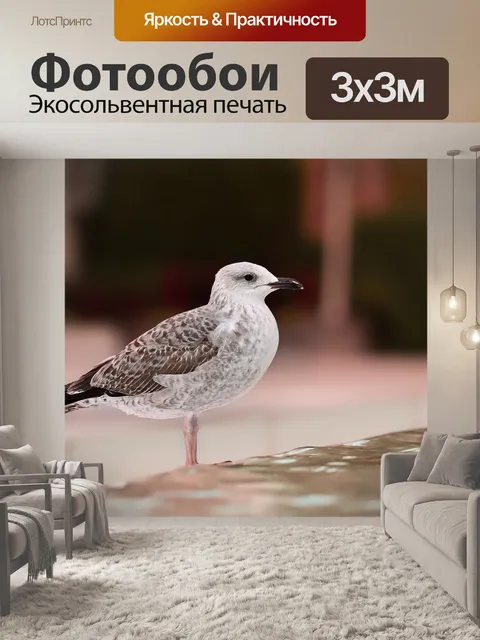 Фотообои Птица