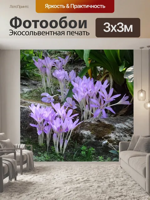 Фотообои Цветы в каменном саду