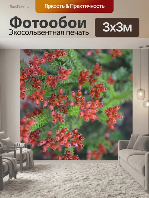 Фотообои красные цветы