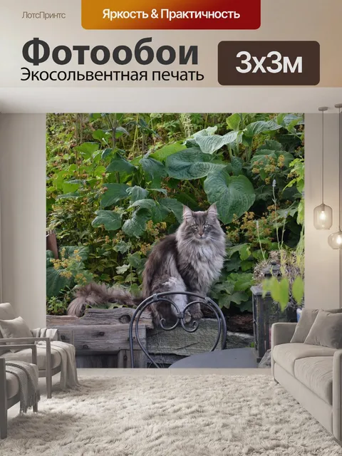 Фотообои Норвежская лесная кошка