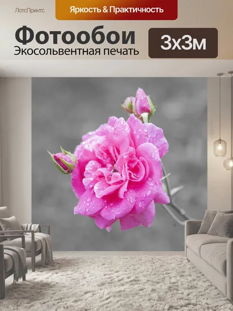 Фотообои Розовый